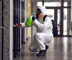 Best Forensic Mold Investigation  in Pinecrest, FL